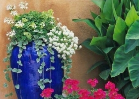 Thiết kế sân vườn bằng bình gốm