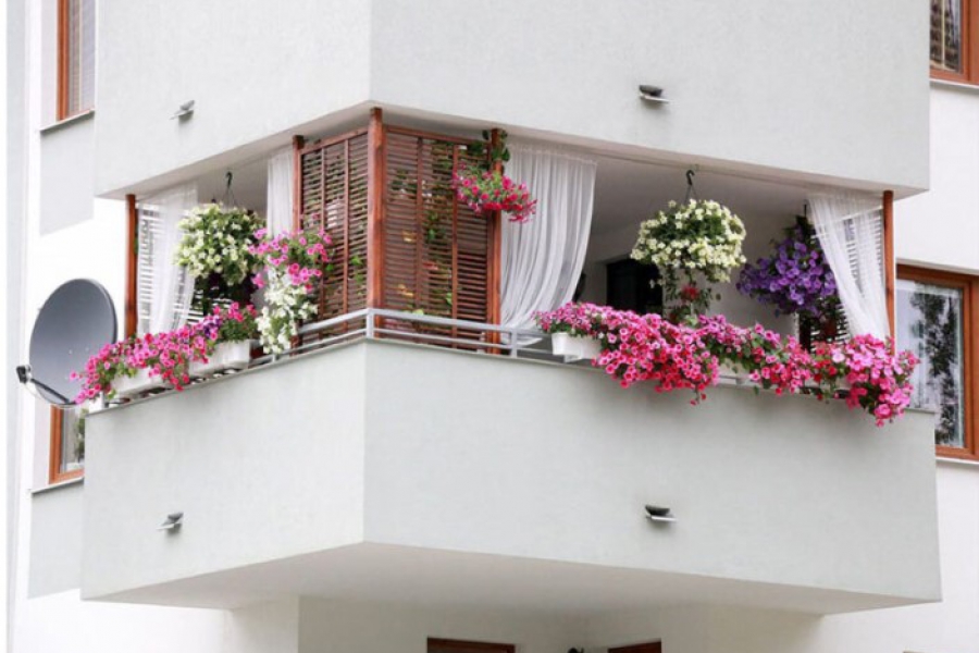 37 Mẫu giàn treo hoa ban công chung cư đẹp ấn tượng